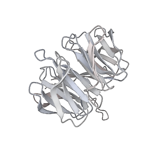 16232_8btk_AF_v1-1
Structure of the TRAP complex with the Sec translocon and a translating ribosome