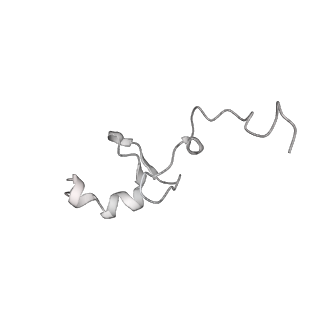 16232_8btk_AG_v1-1
Structure of the TRAP complex with the Sec translocon and a translating ribosome