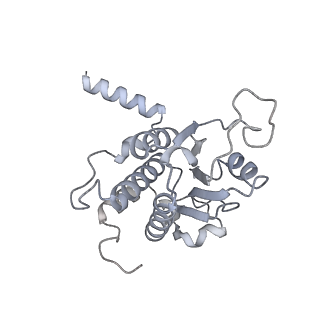 16232_8btk_AZ_v1-1
Structure of the TRAP complex with the Sec translocon and a translating ribosome