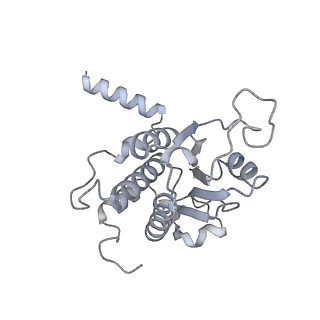16232_8btk_AZ_v2-0
Structure of the TRAP complex with the Sec translocon and a translating ribosome