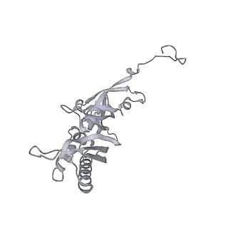 16232_8btk_Aa_v1-1
Structure of the TRAP complex with the Sec translocon and a translating ribosome