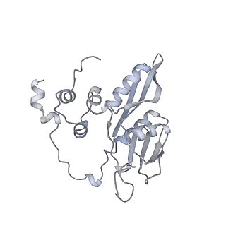 16232_8btk_Ab_v1-1
Structure of the TRAP complex with the Sec translocon and a translating ribosome