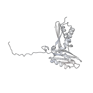 16232_8btk_Ac_v1-1
Structure of the TRAP complex with the Sec translocon and a translating ribosome