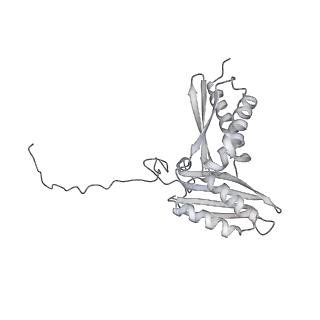 16232_8btk_Ac_v2-0
Structure of the TRAP complex with the Sec translocon and a translating ribosome