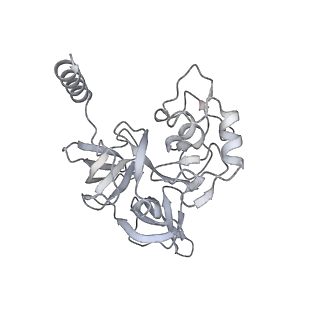16232_8btk_Ad_v1-1
Structure of the TRAP complex with the Sec translocon and a translating ribosome