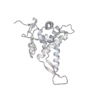 16232_8btk_Ae_v1-1
Structure of the TRAP complex with the Sec translocon and a translating ribosome