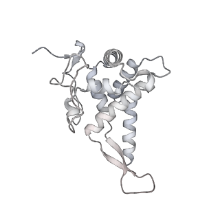 16232_8btk_Ae_v2-0
Structure of the TRAP complex with the Sec translocon and a translating ribosome