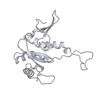 16232_8btk_Ag_v1-1
Structure of the TRAP complex with the Sec translocon and a translating ribosome