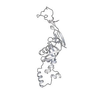 16232_8btk_Ah_v1-1
Structure of the TRAP complex with the Sec translocon and a translating ribosome