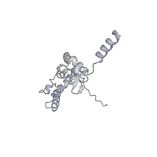 16232_8btk_Ai_v1-1
Structure of the TRAP complex with the Sec translocon and a translating ribosome