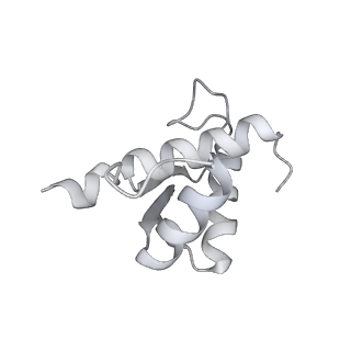 16232_8btk_Aj_v1-1
Structure of the TRAP complex with the Sec translocon and a translating ribosome