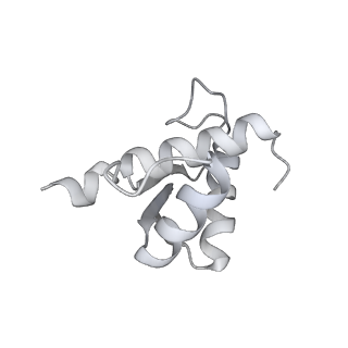 16232_8btk_Aj_v2-0
Structure of the TRAP complex with the Sec translocon and a translating ribosome