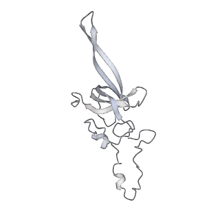 16232_8btk_Ak_v1-1
Structure of the TRAP complex with the Sec translocon and a translating ribosome