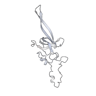 16232_8btk_Ak_v2-0
Structure of the TRAP complex with the Sec translocon and a translating ribosome