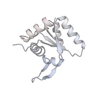 16232_8btk_Al_v1-1
Structure of the TRAP complex with the Sec translocon and a translating ribosome