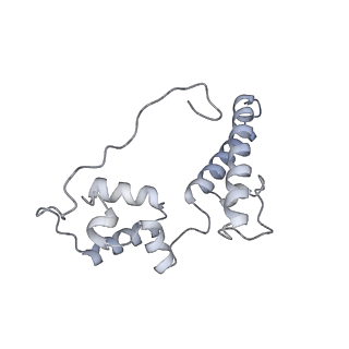 16232_8btk_Am_v1-1
Structure of the TRAP complex with the Sec translocon and a translating ribosome