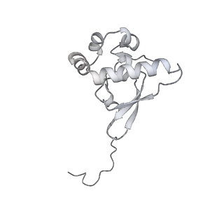 16232_8btk_Ao_v1-1
Structure of the TRAP complex with the Sec translocon and a translating ribosome