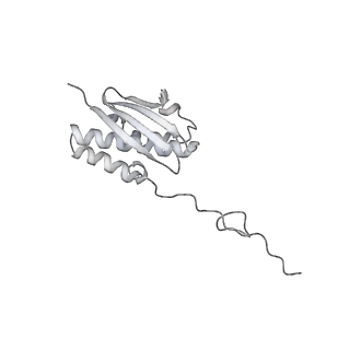 16232_8btk_Ap_v1-1
Structure of the TRAP complex with the Sec translocon and a translating ribosome