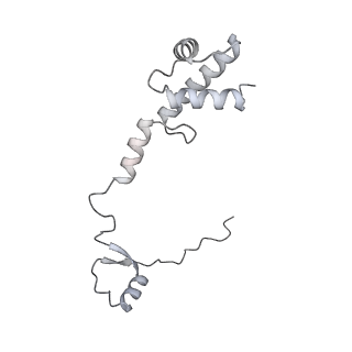 16232_8btk_Aq_v1-1
Structure of the TRAP complex with the Sec translocon and a translating ribosome