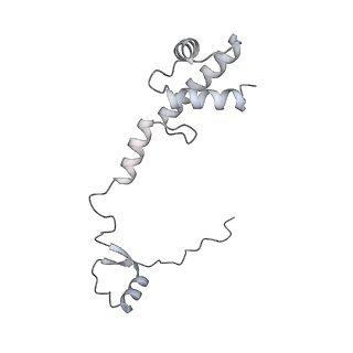 16232_8btk_Aq_v2-0
Structure of the TRAP complex with the Sec translocon and a translating ribosome
