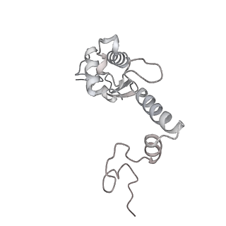 16232_8btk_Ar_v1-1
Structure of the TRAP complex with the Sec translocon and a translating ribosome