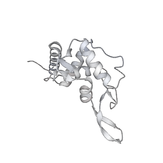 16232_8btk_As_v1-1
Structure of the TRAP complex with the Sec translocon and a translating ribosome