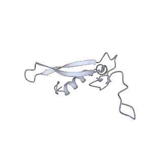 16232_8btk_Au_v1-1
Structure of the TRAP complex with the Sec translocon and a translating ribosome