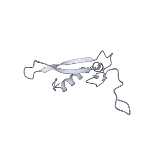 16232_8btk_Au_v2-0
Structure of the TRAP complex with the Sec translocon and a translating ribosome