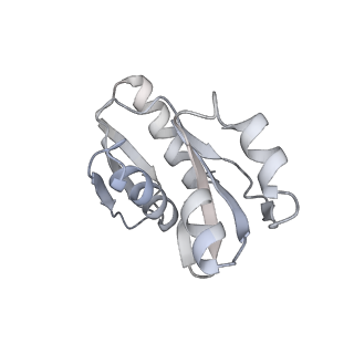 16232_8btk_Av_v1-1
Structure of the TRAP complex with the Sec translocon and a translating ribosome