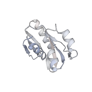 16232_8btk_Av_v2-0
Structure of the TRAP complex with the Sec translocon and a translating ribosome