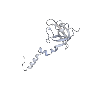 16232_8btk_Aw_v1-1
Structure of the TRAP complex with the Sec translocon and a translating ribosome