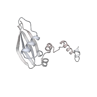 16232_8btk_Ax_v1-1
Structure of the TRAP complex with the Sec translocon and a translating ribosome