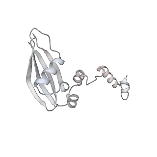 16232_8btk_Ax_v2-0
Structure of the TRAP complex with the Sec translocon and a translating ribosome
