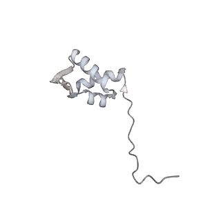 16232_8btk_Ay_v1-1
Structure of the TRAP complex with the Sec translocon and a translating ribosome