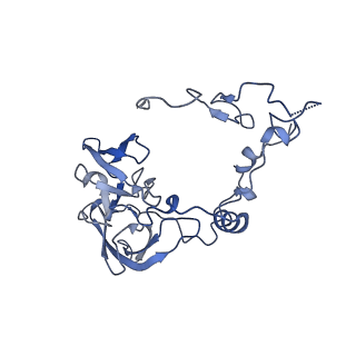 16232_8btk_BA_v1-1
Structure of the TRAP complex with the Sec translocon and a translating ribosome
