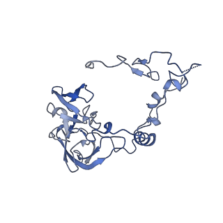 16232_8btk_BA_v2-0
Structure of the TRAP complex with the Sec translocon and a translating ribosome