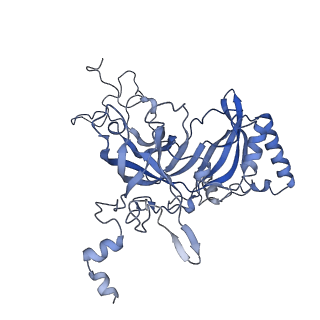 16232_8btk_BB_v1-1
Structure of the TRAP complex with the Sec translocon and a translating ribosome