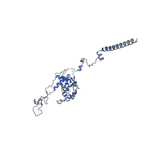 16232_8btk_BC_v1-1
Structure of the TRAP complex with the Sec translocon and a translating ribosome