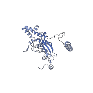 16232_8btk_BD_v1-1
Structure of the TRAP complex with the Sec translocon and a translating ribosome