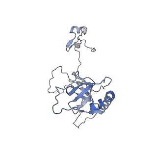 16232_8btk_BE_v1-1
Structure of the TRAP complex with the Sec translocon and a translating ribosome