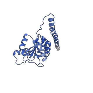 16232_8btk_BF_v1-1
Structure of the TRAP complex with the Sec translocon and a translating ribosome