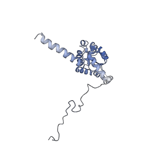 16232_8btk_BG_v1-1
Structure of the TRAP complex with the Sec translocon and a translating ribosome