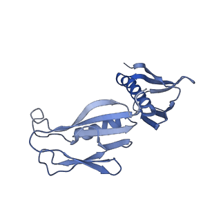 16232_8btk_BH_v1-1
Structure of the TRAP complex with the Sec translocon and a translating ribosome