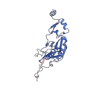 16232_8btk_BI_v1-1
Structure of the TRAP complex with the Sec translocon and a translating ribosome