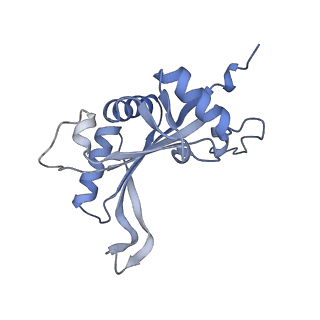 16232_8btk_BJ_v1-1
Structure of the TRAP complex with the Sec translocon and a translating ribosome