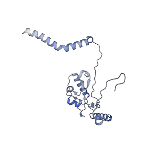 16232_8btk_BL_v1-1
Structure of the TRAP complex with the Sec translocon and a translating ribosome