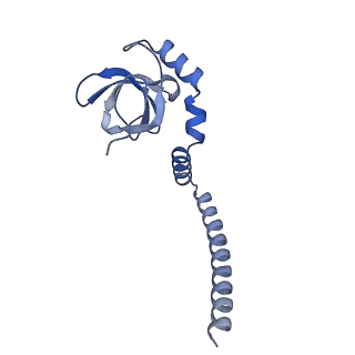 16232_8btk_BM_v2-0
Structure of the TRAP complex with the Sec translocon and a translating ribosome