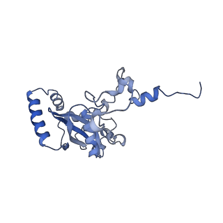16232_8btk_BN_v1-1
Structure of the TRAP complex with the Sec translocon and a translating ribosome