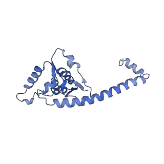 16232_8btk_BO_v1-1
Structure of the TRAP complex with the Sec translocon and a translating ribosome