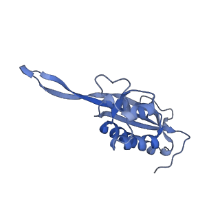 16232_8btk_BP_v1-1
Structure of the TRAP complex with the Sec translocon and a translating ribosome